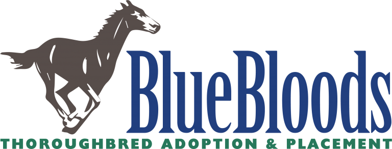 Blue Bloods thoroughbred adoption placement Logo color